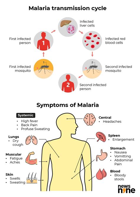 are milaria symptoms similar to ebola symptoms